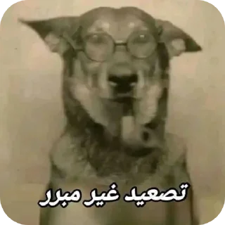 Video sticker 🖼 الصخرة🗿 @S5R_AH