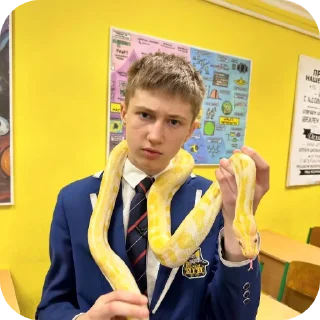 Video sticker 🧣 Шгш