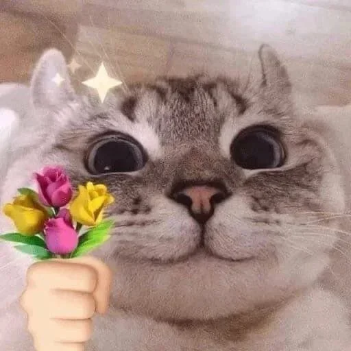 Telegram stiker 💐 @anuoxi :: @fStikBot