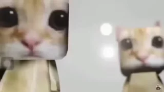 Video sticker 😤 Your stickers - @my_stckers_bot