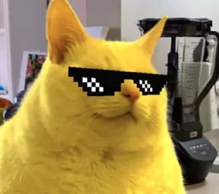 Video sticker 😎 Skeet @amirrezmd