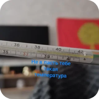 Telegram sticker 🎸 Бублик @puzoipanchi