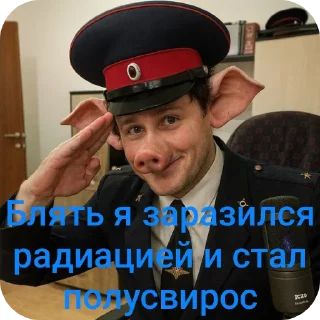 Video sticker 🎩 Бублик @puzoipanchi