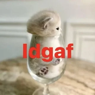 Video sticker 🎵 stupid