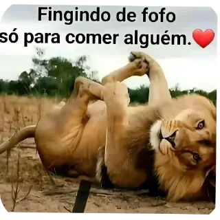 Telegram sticker 😀 Liga da resenha 01| By @faelgm