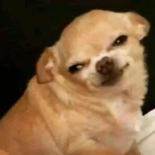 Sticker 😑 Больше стикеров тут: @stikery_emodzi_memy