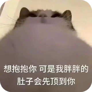 Telegram stiker 🐱 zakozako