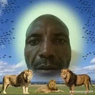 Telegram sticker 🌻 👊 @xiluee   xvd