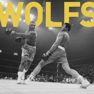 Telegram sticker 🥊 WOLFS