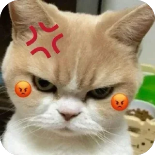 Telegram sticker 🫥 Al