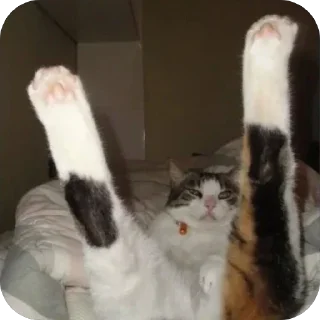 Telegram sticker 🔥 Al