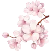 Sticker 🌸 𝓒𝓱𝓵𝓸𝓮𝓮𓂃 ִֶָ💗 [ @pwritness ] :: @fStikBot