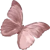 Sticker 🦋 𝓒𝓱𝓵𝓸𝓮𝓮𓂃 ִֶָ💗 [ @pwritness ] :: @fStikBot