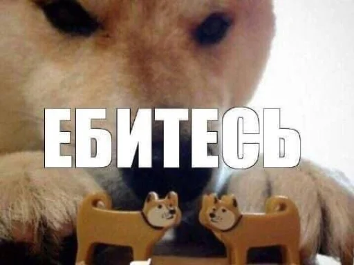 Telegram sticker 🤩 @vurmisa memes