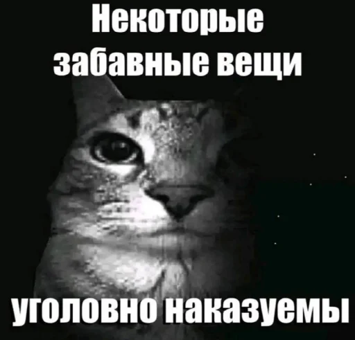 Telegram sticker 🤩 @vurmisa memes