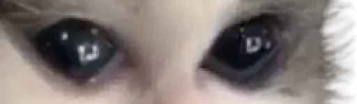 Телеграм стикер 🤣 Douma :: @Upper_moon_02 @kitatsukai