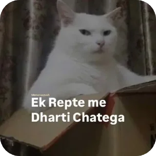 Telegram sticker 🐱 Koi Tumse Pyaar Kyu Karega
