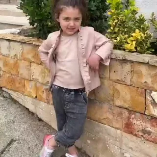 Video sticker 😂 subah's video pack (@Sizuka_grouphelp_bot)
