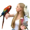 Sticker 🌟 tropical ➜ @emoji1