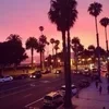 Video sticker 🌟 tropical ➜ @emoji1