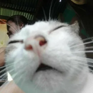 Telegram sticker 😓 Nilram’s Mood (@Nliram)