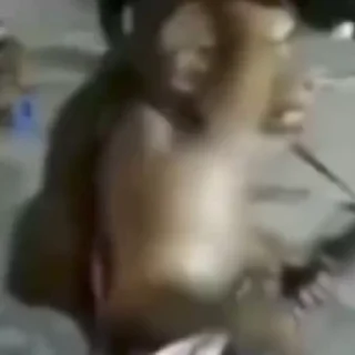 Video sticker 🎸 Бибизяны @anime4_arts