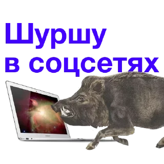 Телеграм стикер 😁 Метнулся @catalog_stickerov