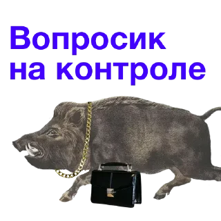 Телеграм стикер 😀 Метнулся @catalog_stickerov
