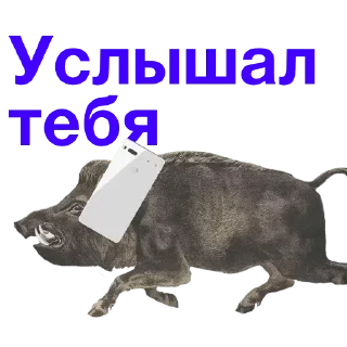 Телеграм стикер 👍 Метнулся @catalog_stickerov