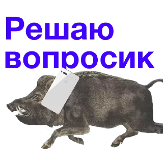 Video sticker 😁 Метнулся @catalog_stickerov