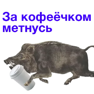 Video sticker ☕️ Метнулся @catalog_stickerov