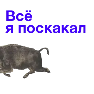 Телеграм стикер 😁 Метнулся @catalog_stickerov