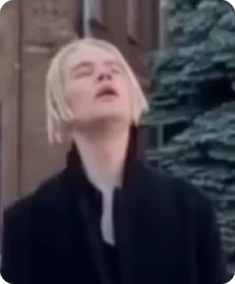 Video sticker 😴 SHAMAN :: @fStikBot