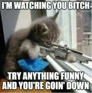 Video sticker 😡 MarMaid Pack