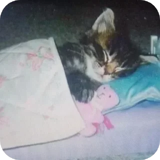 Video sticker 😴 @pleasegodimtired