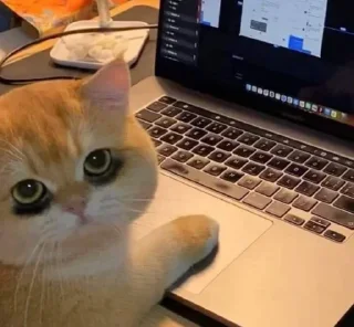 Telegram sticker 👽 @NXXX9