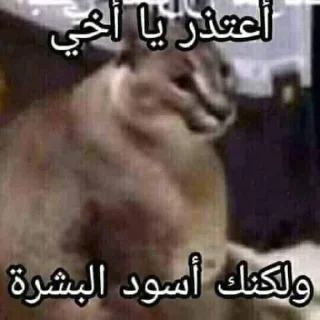 Video sticker 🐜 @NXXX9