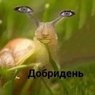 Video sticker 🌟 Больше стиков тут: @stikery4