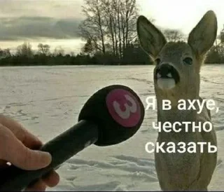 Sticker 🌟 Больше стиков тут: @stikery4