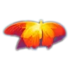 Sticker 🦋 thermal @kotletovvemoji
