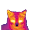 Sticker 🐱 thermal @kotletovvemoji