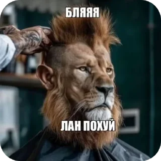Telegram sticker 🖼 Гавна брат id @eycase