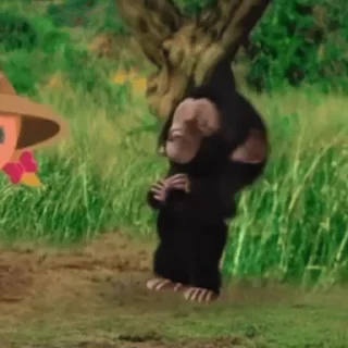 Video sticker 🐒 @GeminiAiProPlus