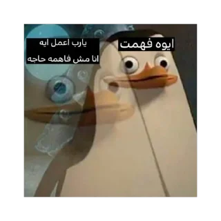Video sticker 🫥 حزمة الكرنج هع هع هع