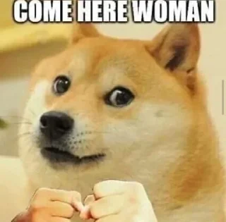 Telegram sticker ✊ I hate woman