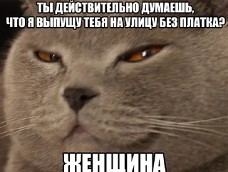 Sticker 😤 I hate woman