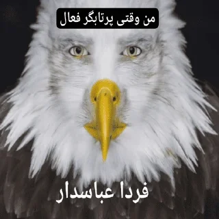 Telegram sticker 🦅 ملات سفت بدمز حرکت !