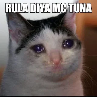 Video sticker 😔 @Zylern's kang pack Vol.1