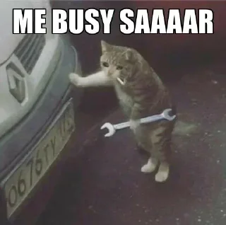 Video sticker 😅 @Zylern's kang pack Vol.1