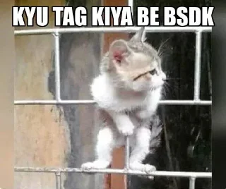 Telegram sticker 😒 @Zylern's kang pack Vol.1